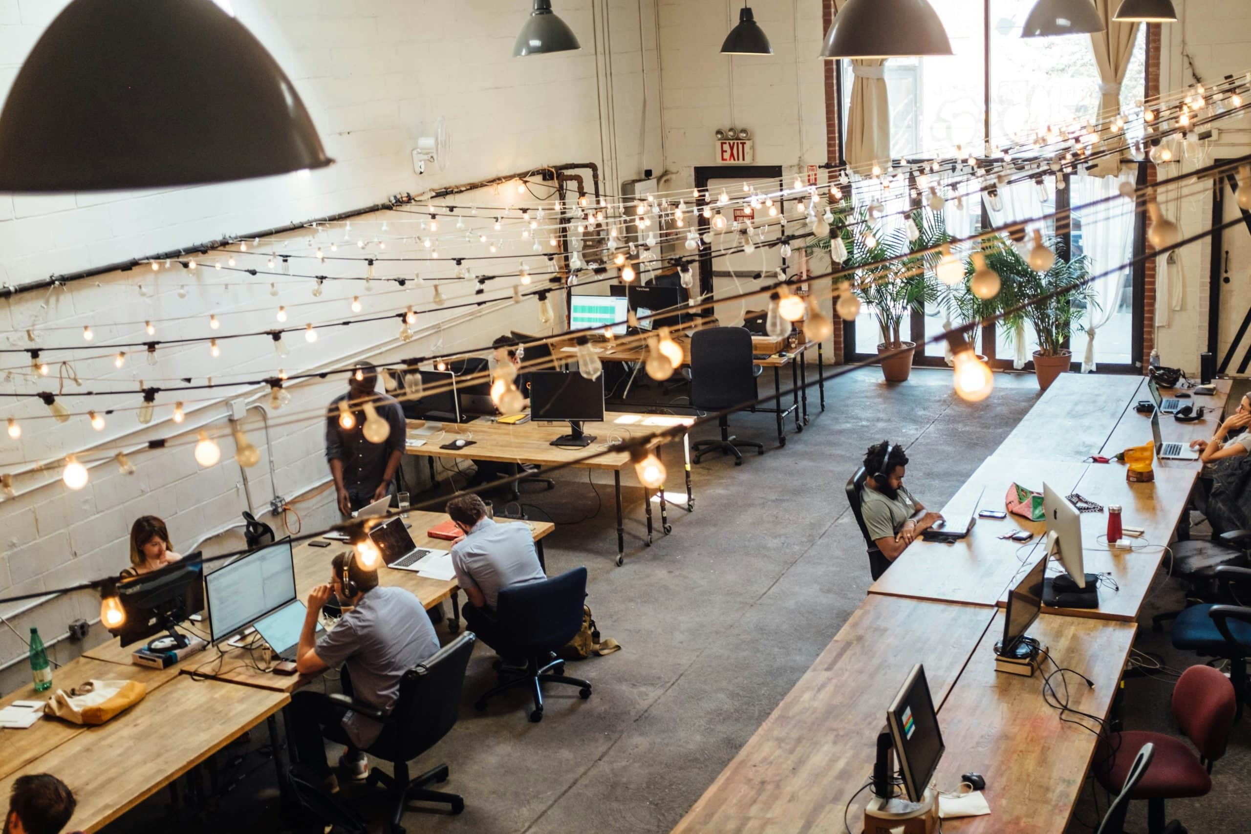 Wij zijn Treesign, Full service WordPress bureau